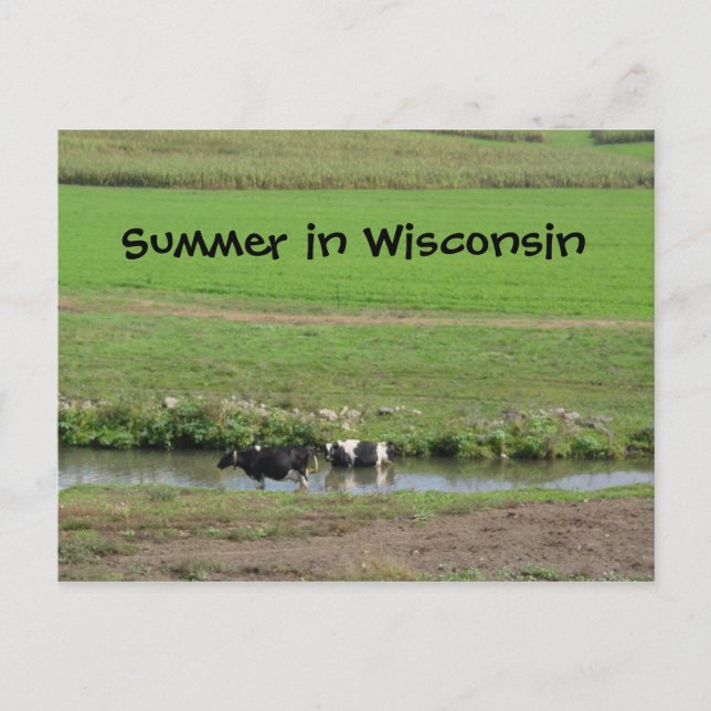 Carte Postale Gone Swimmin' (Devant)