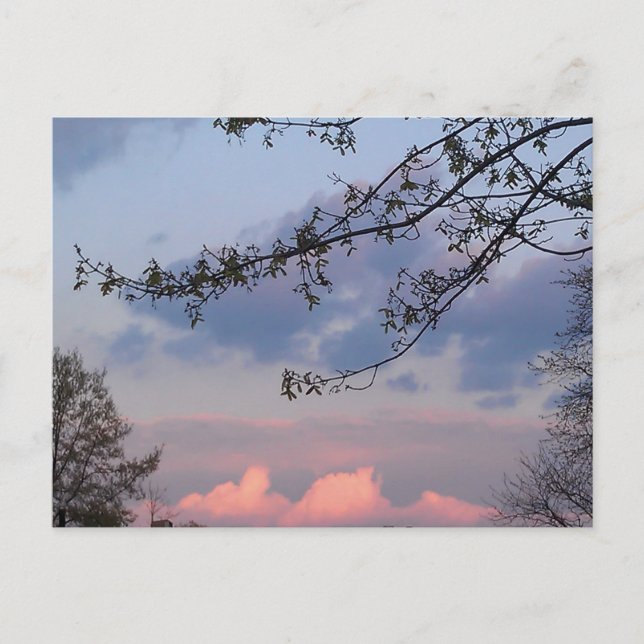 Carte Postale Goodwill de la ville universitaire (Devant)