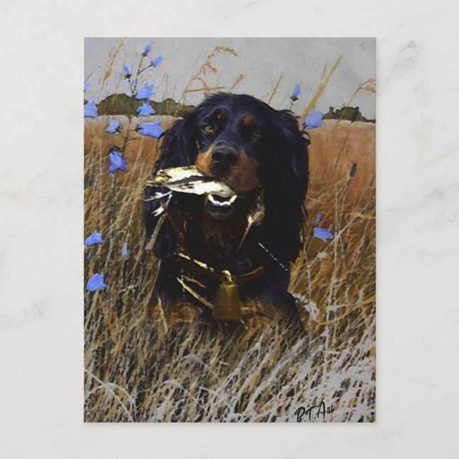 Carte Postale Gordon Setter (Devant)