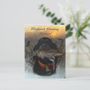 Carte Postale Gordon Setter