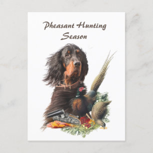 Carte Postale Gordon Setter