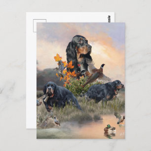 Carte Postale Gordon Setter