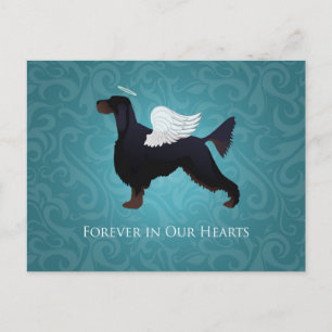 Carte Postale Gordon Setter Animal Memorial Chien Angel