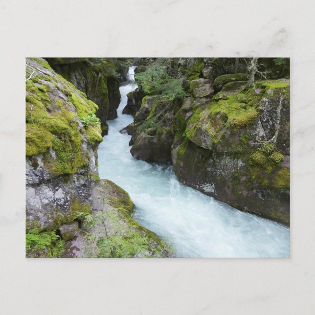Carte Postale Gorge d'avalanche I au parc national Glacier (Devant)