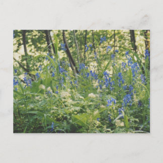 Carte Postale Gorge du fleuve Columbia