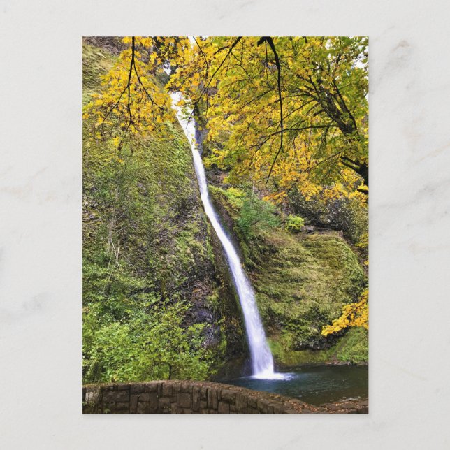 Carte Postale Gorges de Columbia, Oregon (Devant)