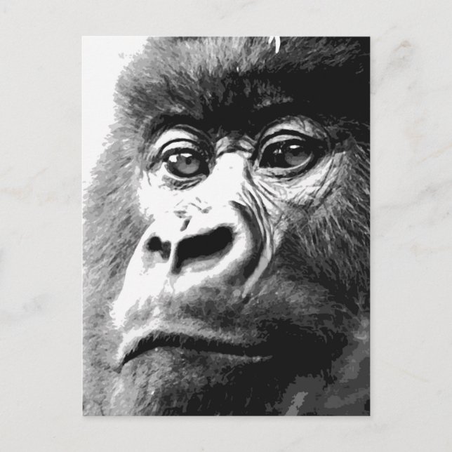 Carte Postale Gorilla (Devant)