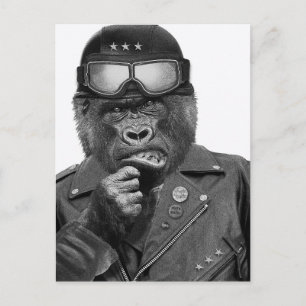 Carte Postale Gorilla Guy