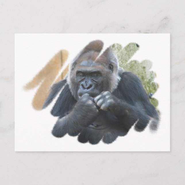 Carte postale Gorilla Primate (Devant)