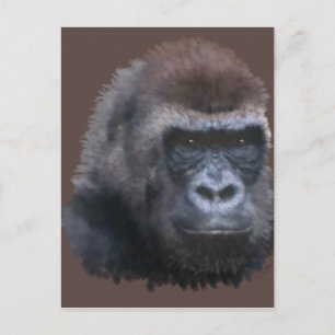 Carte Postale Gorilla Silverback