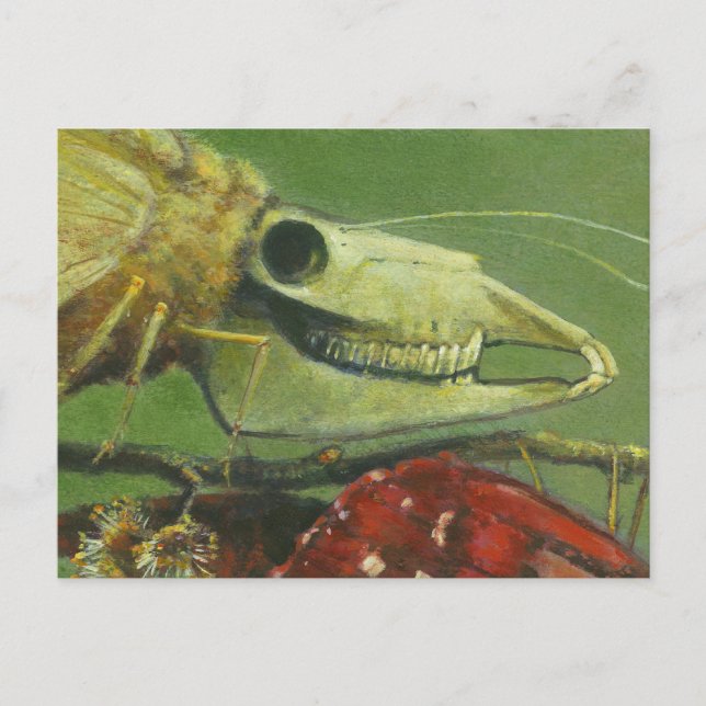 Carte postale gothique Mutant Moth (Devant)