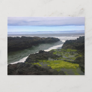 Carte Postale Gouffre de Cook, Cape Perpetua, Oregon
