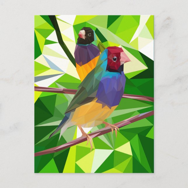 Carte Postale Gouldian Finch Duo (Devant)