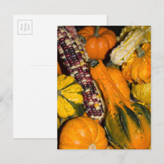 Carte Postale Gourds and Corn Fall Food Photographie