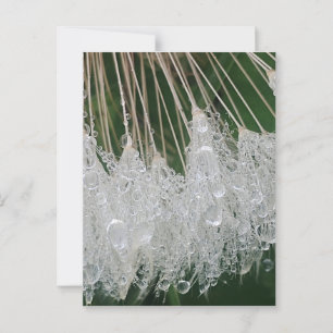 Carte Postale gouttelettes d'eau
