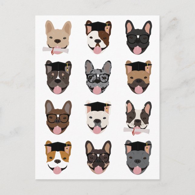 Carte Postale Graduation Français Bulldog face aux (Devant)