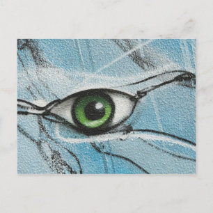 Carte Postale Graffiti Eye