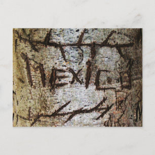 Carte Postale Graffiti "Mexique" en arbre sculpté