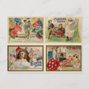 Carte Postale Graines de fleurs Collage Vintage