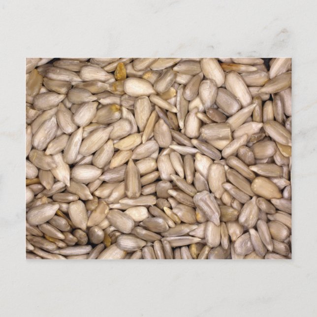 Carte Postale Graines de tournesol (Devant)