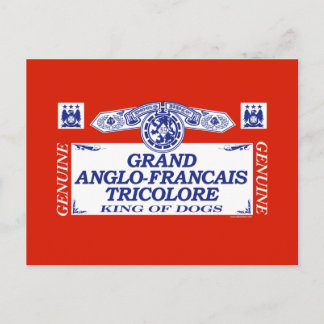 Carte Postale Grand Anglo-Francais Tricolore