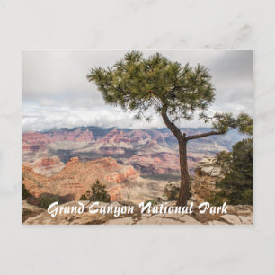 Carte Postale Grand Canyon