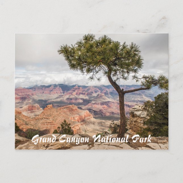 Carte Postale Grand Canyon (Devant)