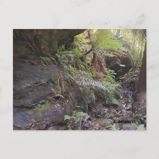 Carte Postale Grand Canyon (Devant)