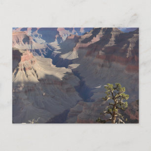 Carte Postale Grand Canyon (5)