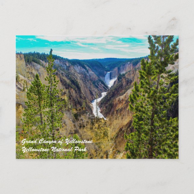 Carte Postale Grand Canyon de Yellowstone (Devant)
