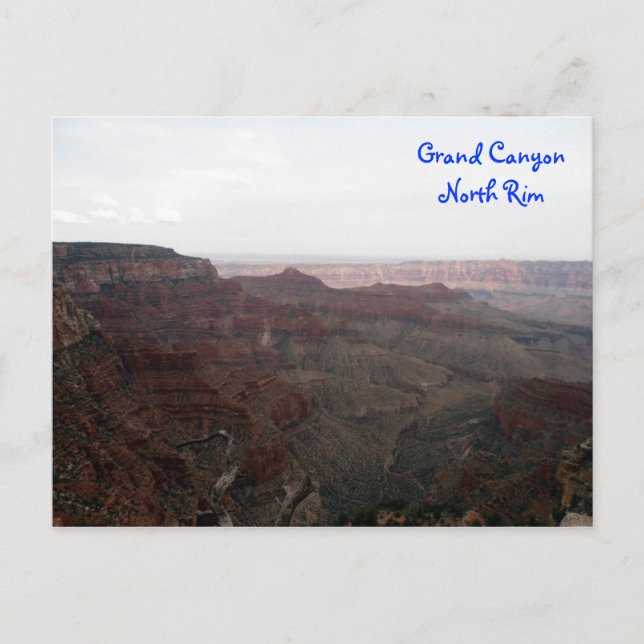 Carte postale Grand Canyon North Rim (Devant)
