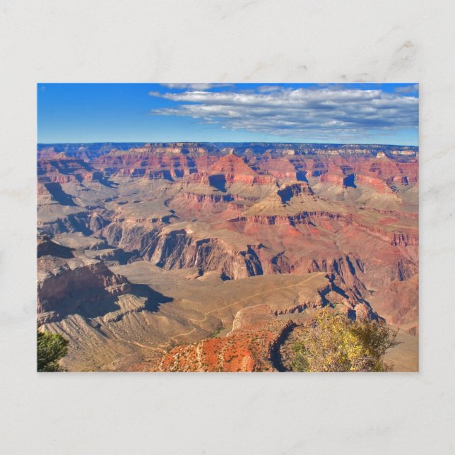 Carte Postale Grand Canyon Vista (Devant)