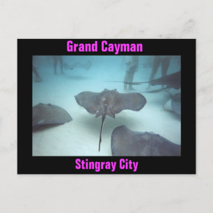 Carte postale Grand Cayman