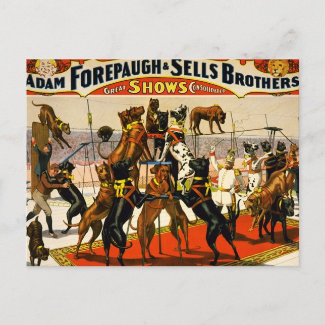 Carte Postale Grand Dane Circus (Devant)