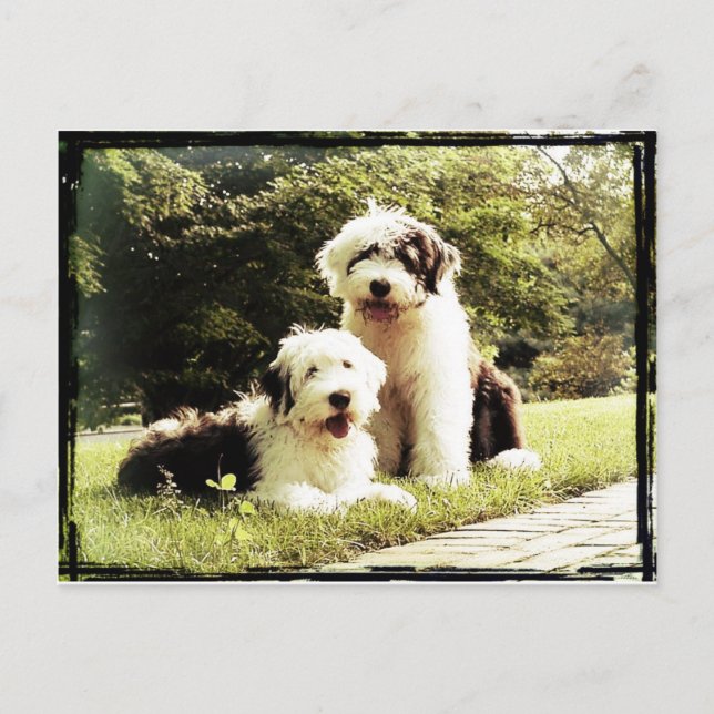 Carte Postale Grand dehors ! (Devant)