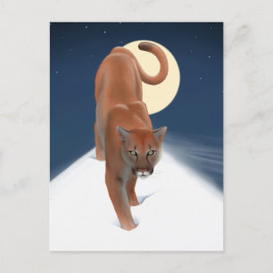 Carte Postale Grand félin dans la neige hivernale - Lion de mont