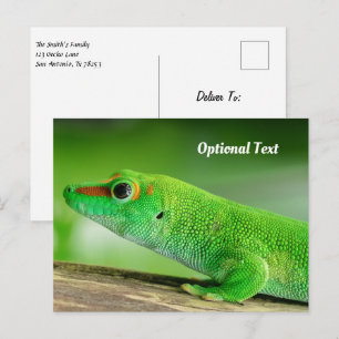 Carte Postale Grand Gecko diurne vert