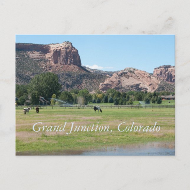 Carte Postale Grand Junction, Colorado (Devant)