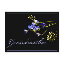 Grand-mère Fleurs Bleues Delicate