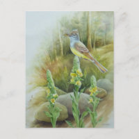Grand Moucherolle à griffe d'oiseau Aquarelle Art
