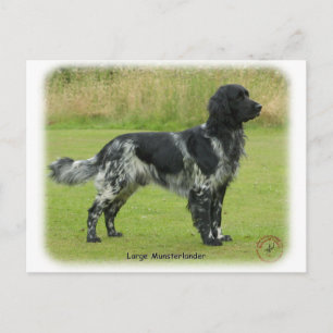 Carte Postale Grand Munsterlander