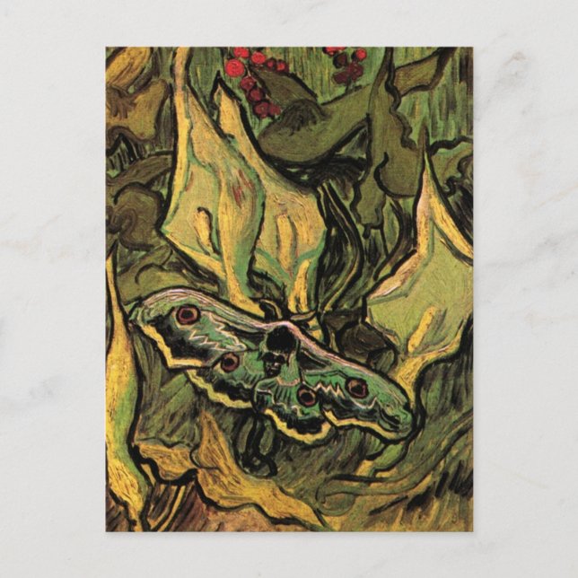 Carte Postale Grand Paon de nuit par Vincent van Gogh (Devant)