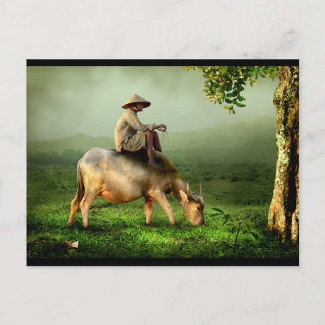 Carte Postale Grand-père Se détendre sur son Buffalo (Devant)