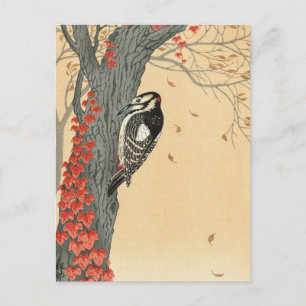 Carte Postale Grand pic tacheté dans l'arbre avec du lierre roug