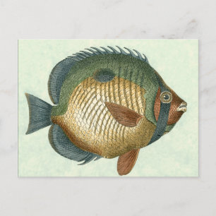 Carte Postale Grand Poisson Coloré