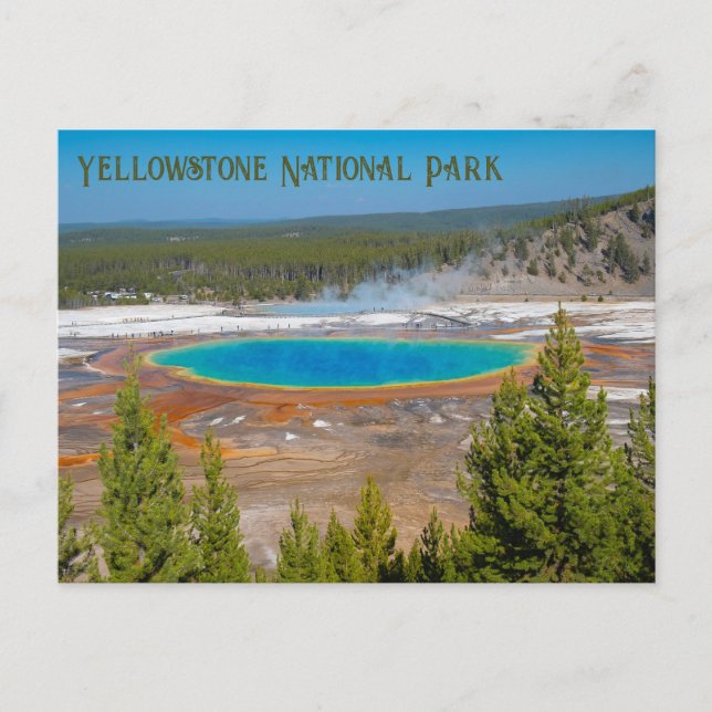 Carte Postale Grand Prismatic Spring Parc national de Yellowston (Devant)