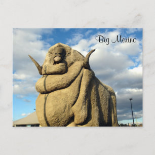 Carte Postale grand ram merino