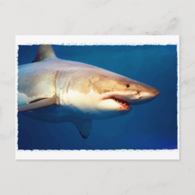 Carte Postale Grand requin blanc (Devant)