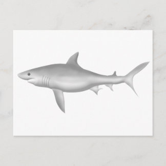 Carte Postale Grand requin blanc