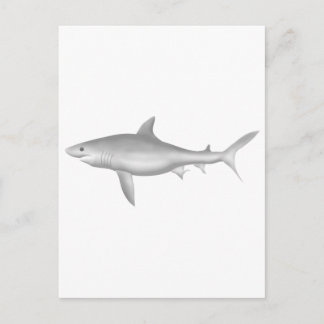Carte Postale Grand requin blanc